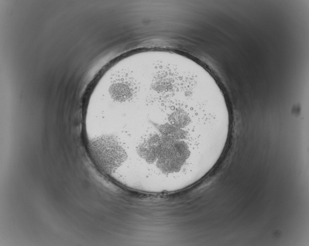 X0000113851075200910221414