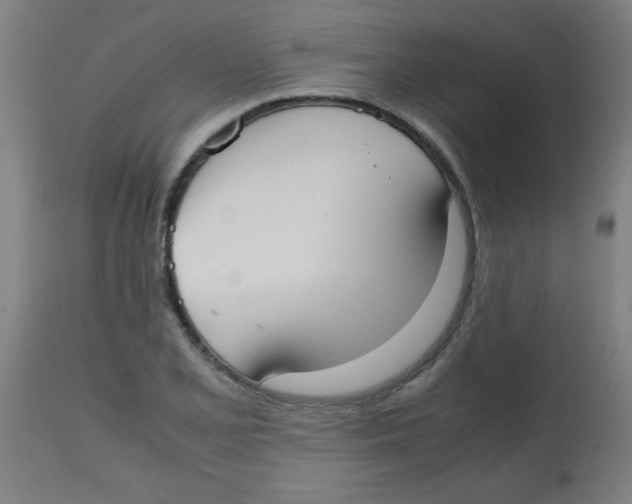 X0000113851077200910221414