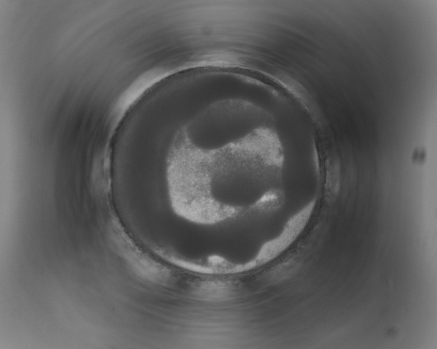 X0000113851078200910221414