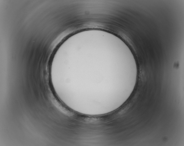 X0000113851082200910221414