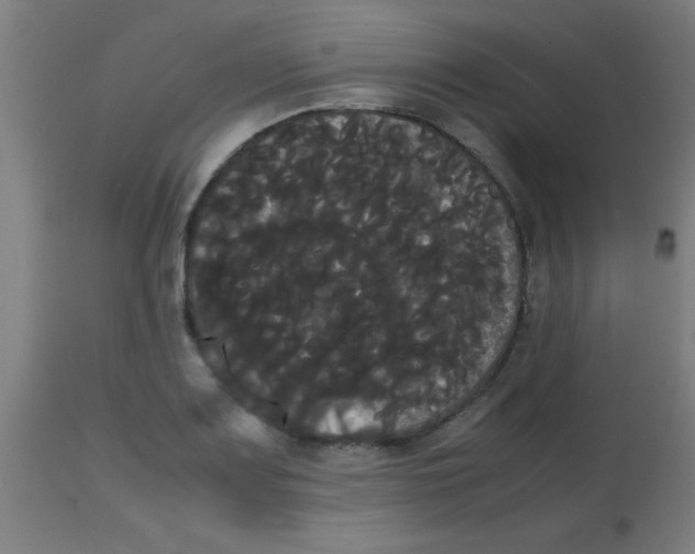 X0000113851083200910221414