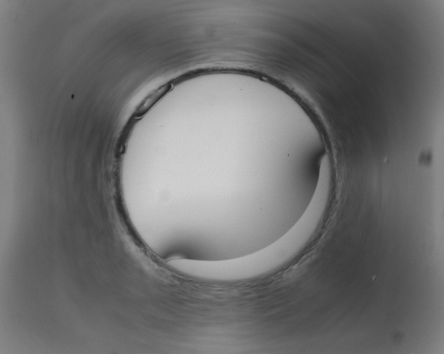 X0000113851085200910221414