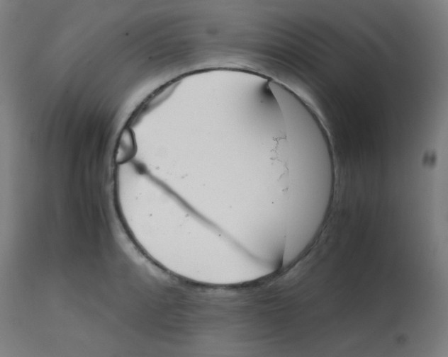 X0000113851088200910221414