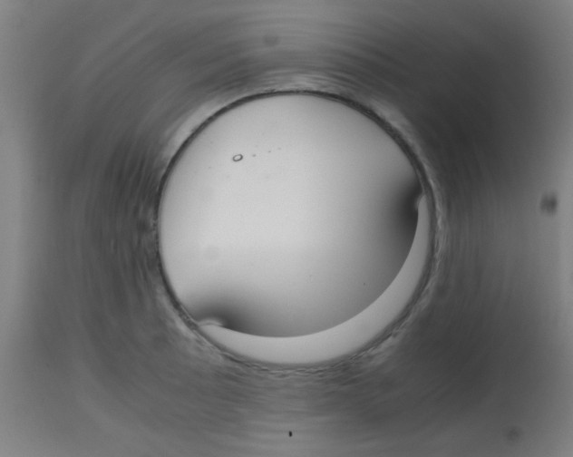 X0000113851089200910221414