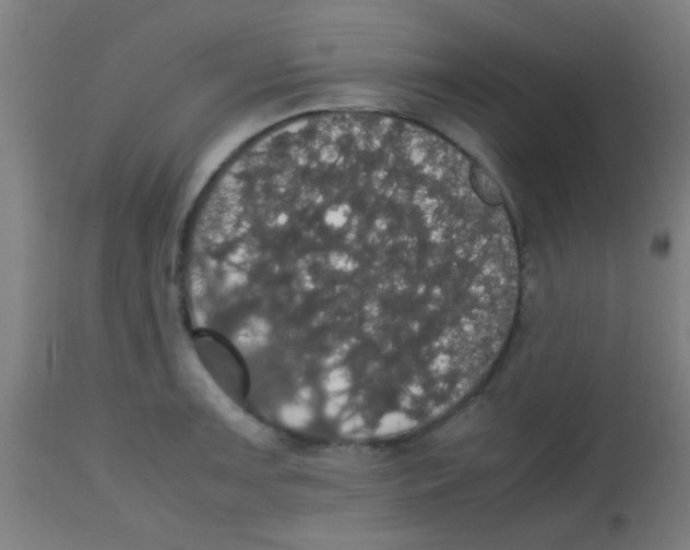 X0000113851091200910221414