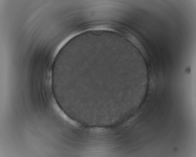 X0000113851092200910221414