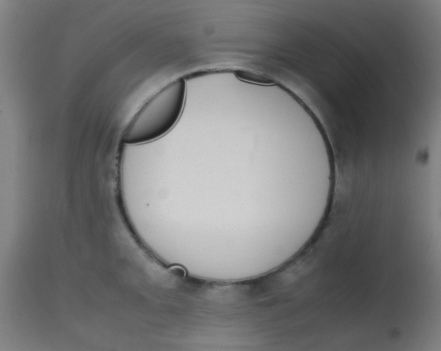 X0000113851093200910221414