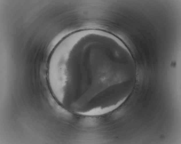 X0000113851094200910221414