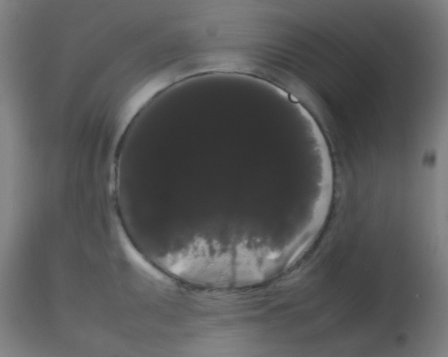 X0000113851095200910221414