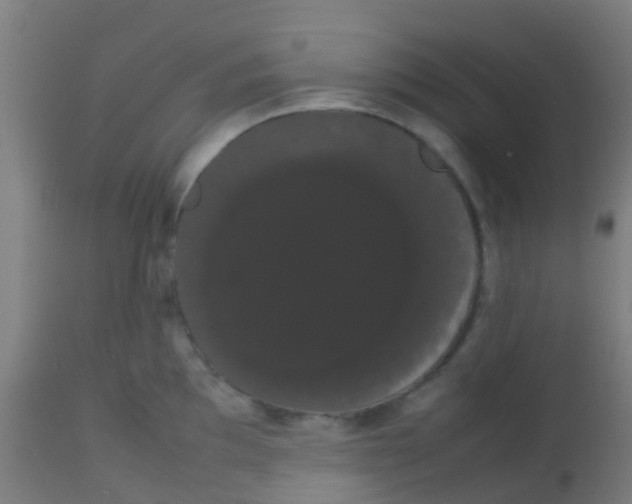 X0000113851097200910221414