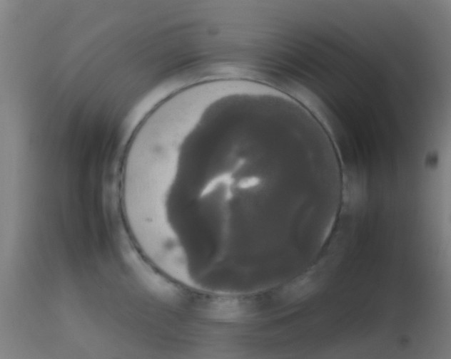 X0000113851098200910221413