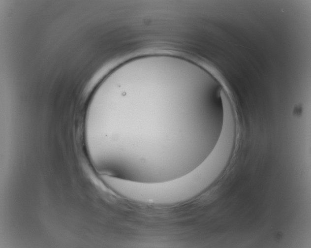 X0000113851101200910221413