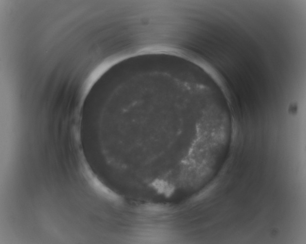 X0000113851102200910221413