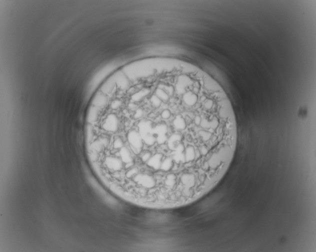 X0000113851103200910221413