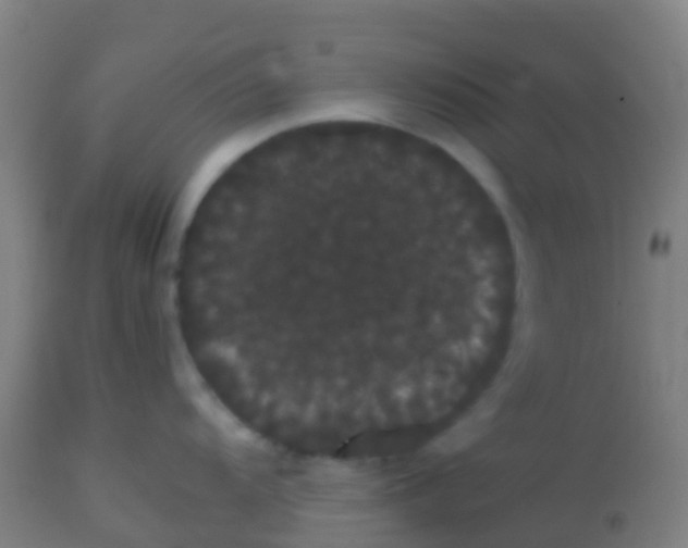 X0000113851104200910221413