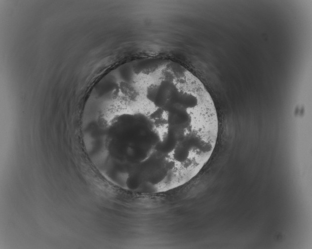 X0000113851105200910221413