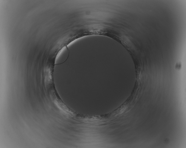 X0000113851106200910221413