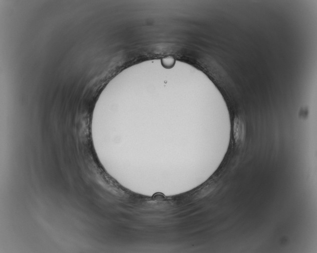 X0000113851107200910221413