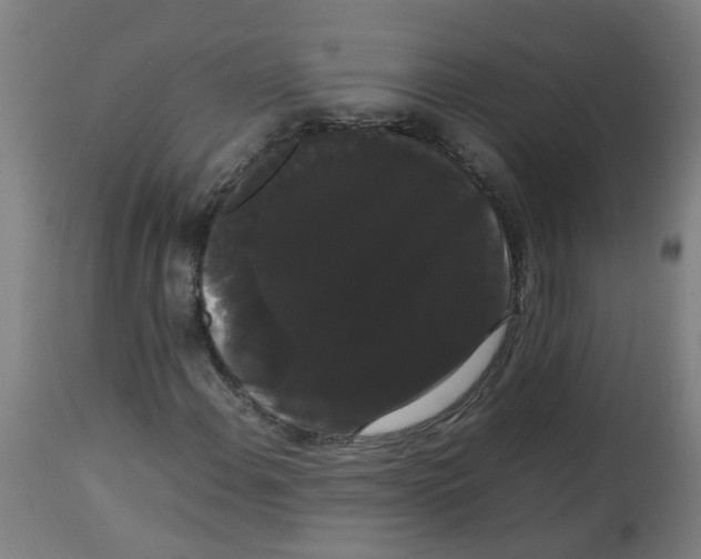 X0000113851108200910221413