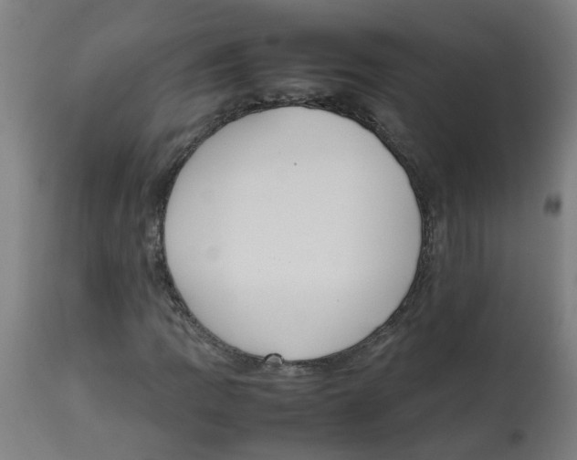 X0000113851109200910221413