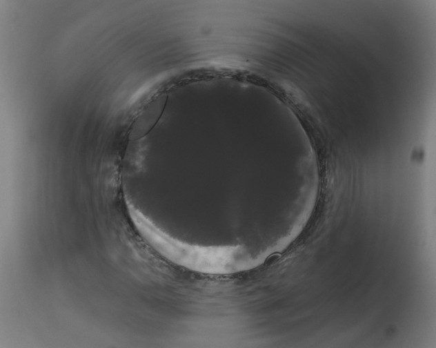 X0000113851110200910221413