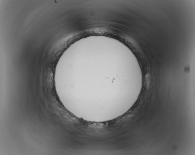 X0000113851111200910221413