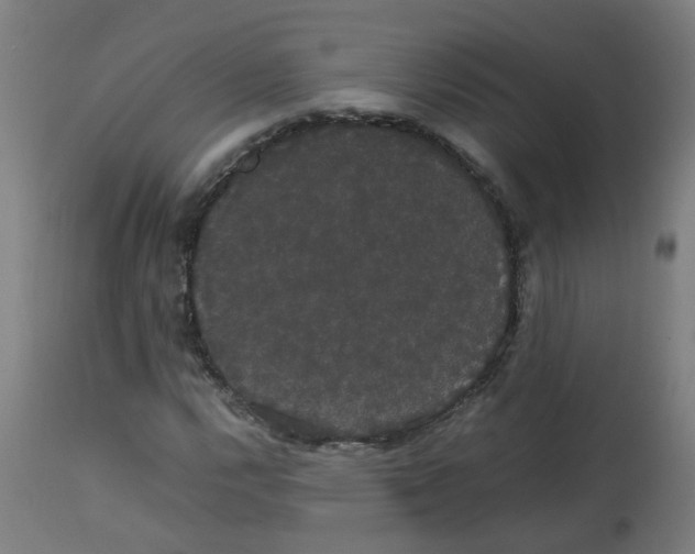 X0000113851112200910221413