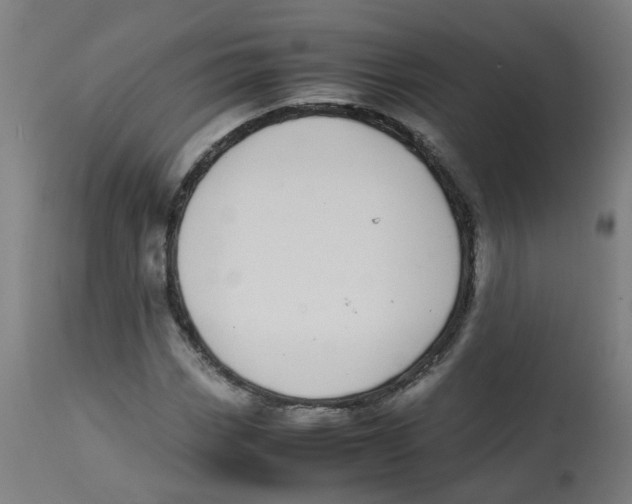 X0000113851113200910221413