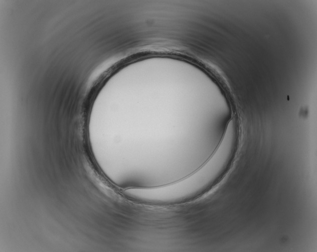 X0000113851114200910221413