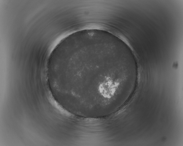 X0000113851116200910221413