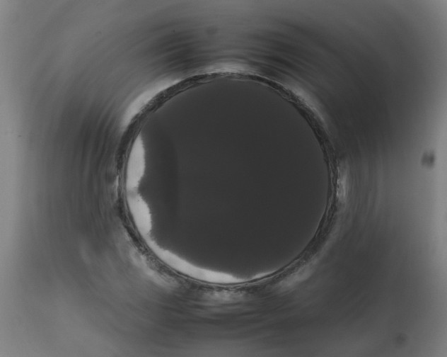 X0000113851117200910221413