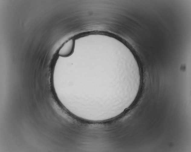 X0000113851118200910221413