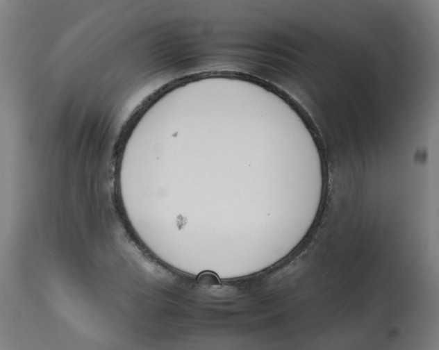 X0000113851119200910221413