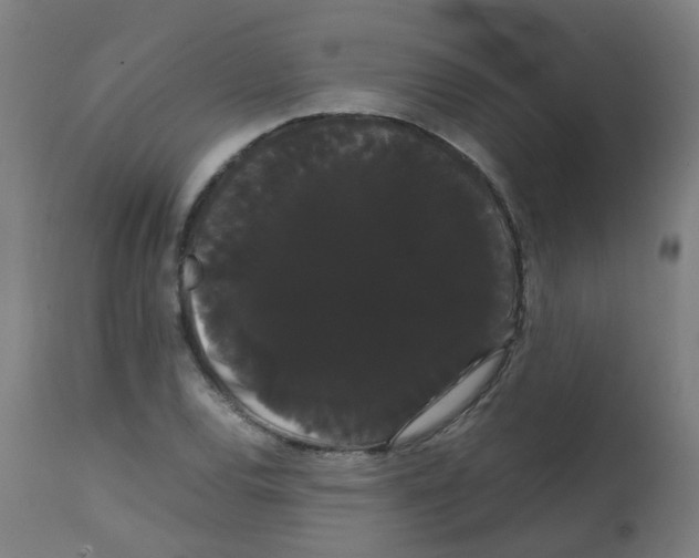 X0000113851120200910221413