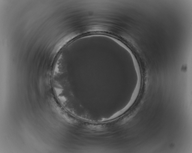 X0000113851121200910221413