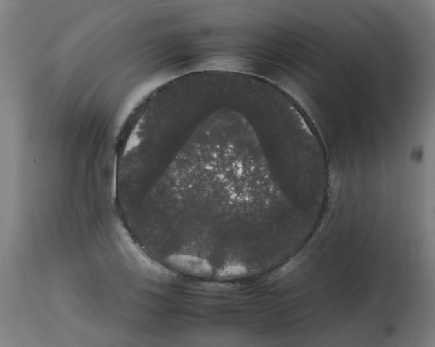 X0000113851123200910221413