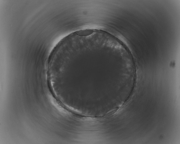 X0000113851124200910221413