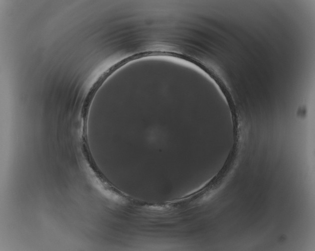 X0000113851125200910221413