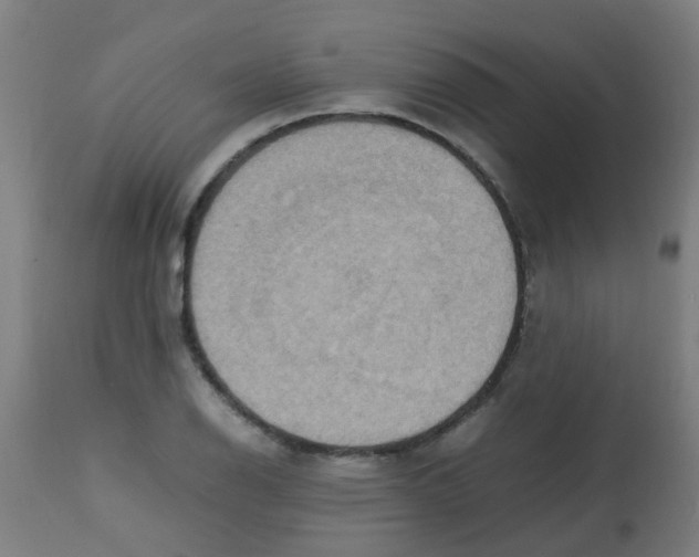 X0000113851126200910221413