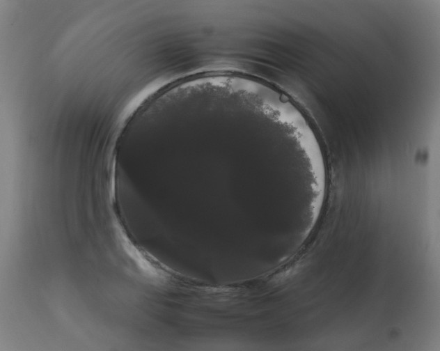 X0000113851127200910221413