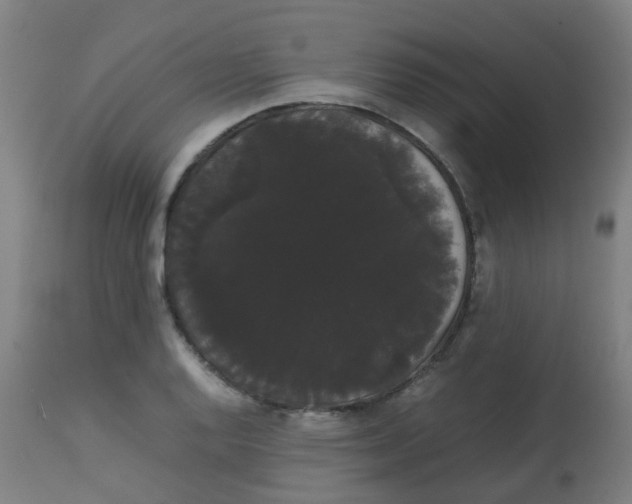 X0000113851128200910221413