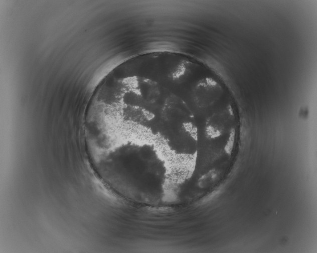 X0000113851129200910221413