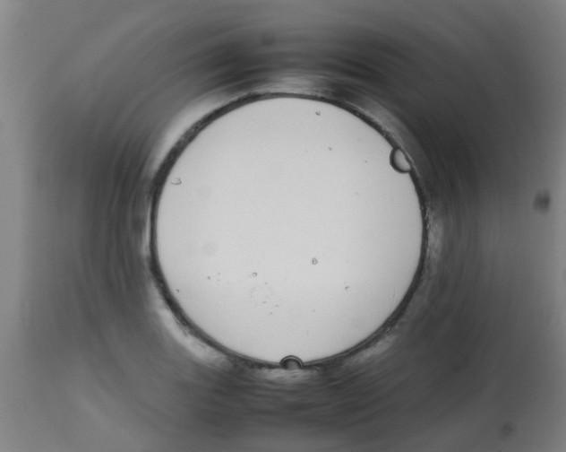 X0000113851131200910221413