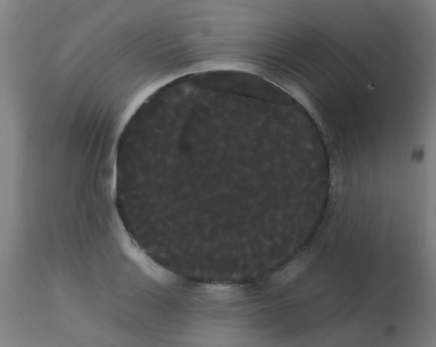 X0000113851132200910221413