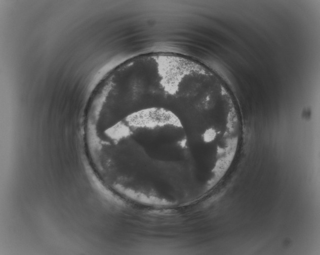 X0000113851133200910221413