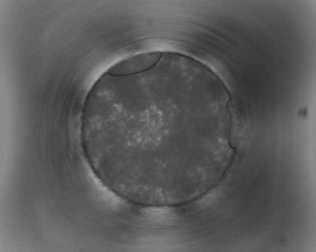 X0000113851134200910221413