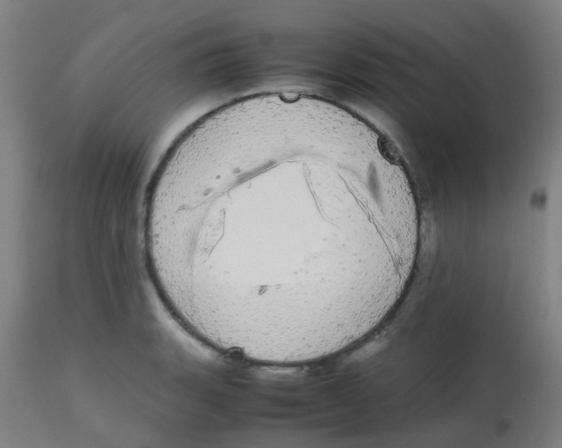 X0000113851135200910221413