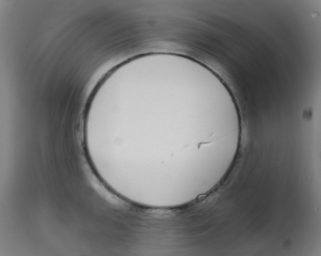 X0000113851136200910221413