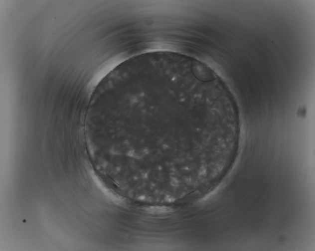 X0000113851137200910221413