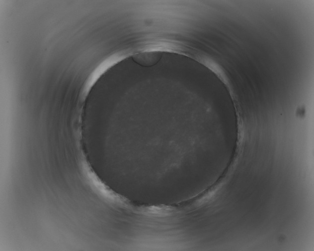 X0000113851138200910221413